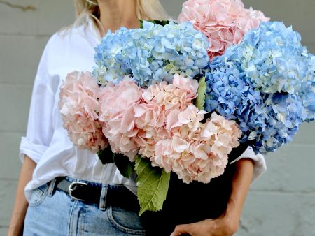 Bouquet of Hydrangea Cheap