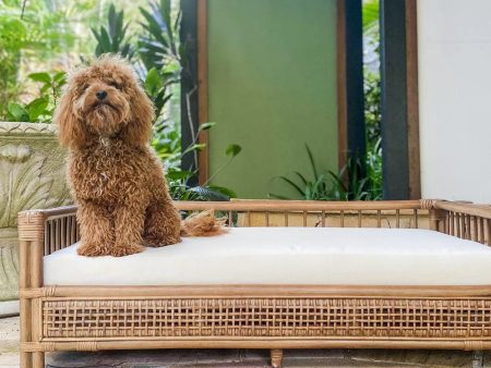 Cayman Rattan Pet Bed on Sale