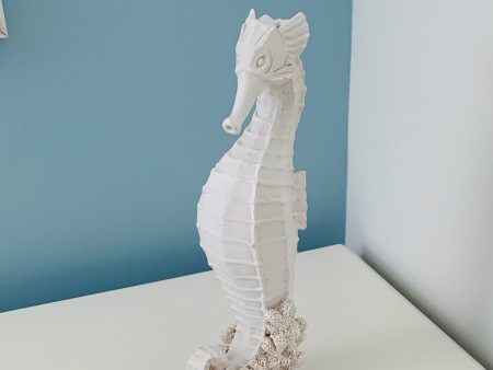 White Seahorse Fashion