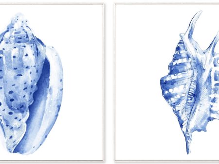 Blue Conch Framed Set of 2 Online Sale