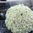 White Roses Fashion