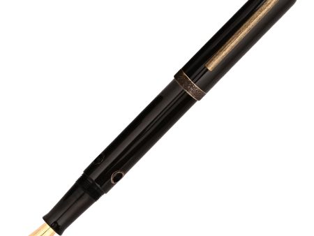 Nahvalur Nautilus Fountain Pen - Bronze Corydoras Online