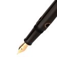 Nahvalur Nautilus Fountain Pen - Bronze Corydoras Online