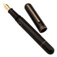 Nahvalur Nautilus Fountain Pen - Bronze Corydoras Online